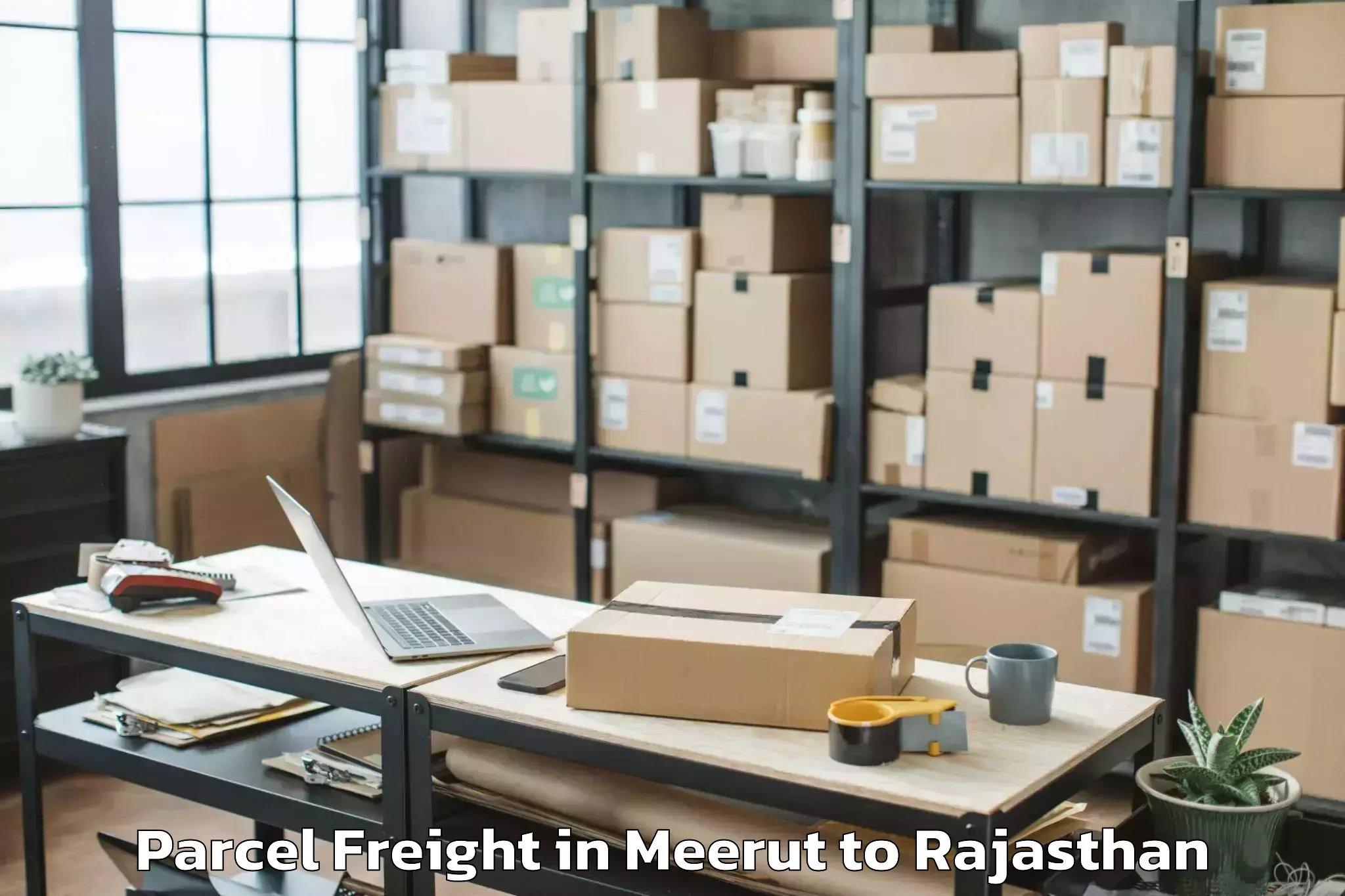 Meerut to Jayoti Vidyapeeth Womens Unive Parcel Freight Booking